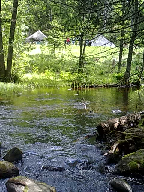 Bild nr 2, 20100615015.jpg