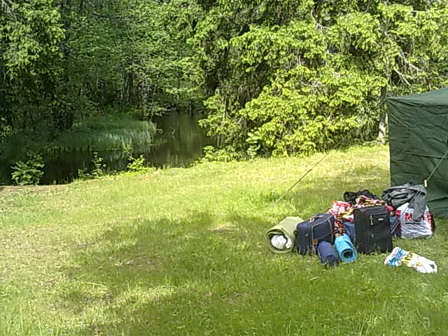 Bild nr 6, 20100615017.jpg