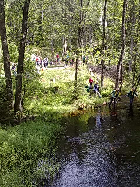 Bild nr 17, 20100615027.jpg