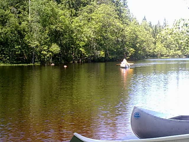 Bild nr 12, 20100617045.jpg